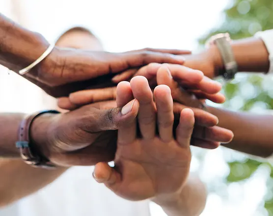 The ARM Legacy - ARM Alternative Investments - Rigorous Capital Stewardship for Global Institutions.